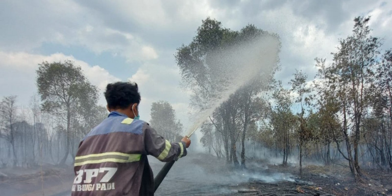 DPR Dukung Polri Tetapkan Tersangka Kasus Karhutla, Korporasi Harus Ditindak Tegas
