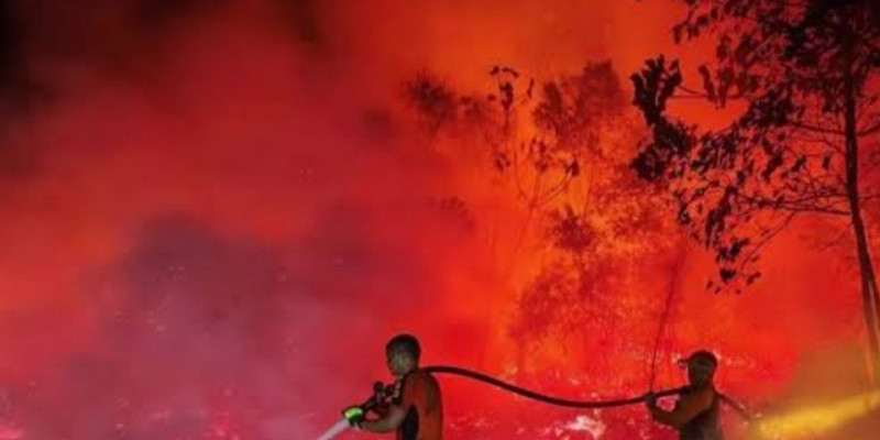 13 Korporasi Tersangka Karhutla, Firman Soebagyo Minta Aset Disita