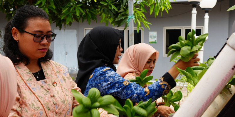 DWP BKN Launching Program Tanaman Hidroponik Dukung Program ASRI Presiden