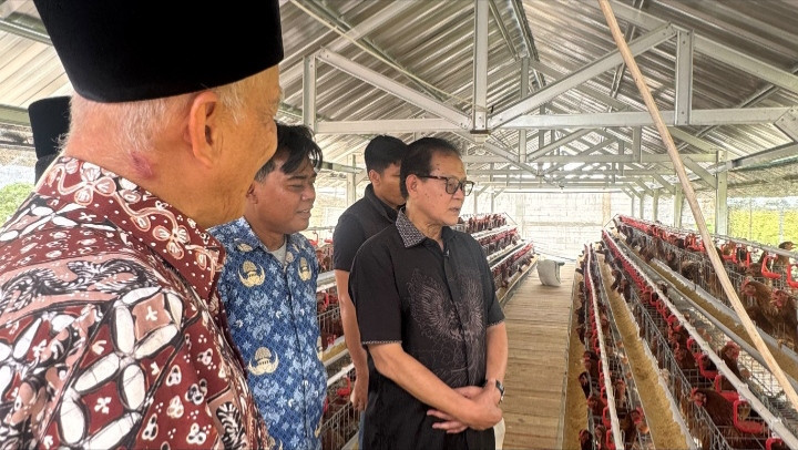 Prof. Rokhmin Dahuri: Bantuan Ayam Petelur Harus Menjadi Modal Awal Menuju Kemandirian Usaha