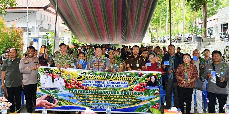 Bupati Samosir Salurkan 1,25 Juta Bibit Kopi, 245 Kelompok Tani Jadi Penerima